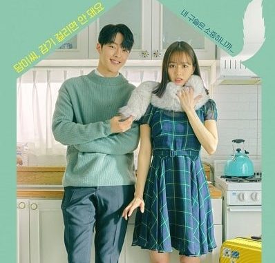 Download Drama Korea My Roommate Is Gumiho Subtitle Indonesia Download Drama Korea My Roommate Is Gumiho Subtitle Indonesia