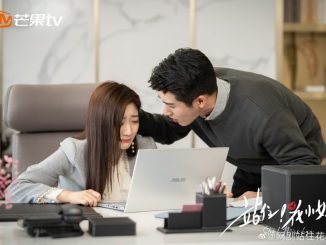Download Drama China Stop Miss Hua Subtitle Indonesia