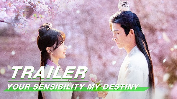 Your Sensibility My Destiny 2021 Download Drama China Your Sensibility My Destiny Sub indo
