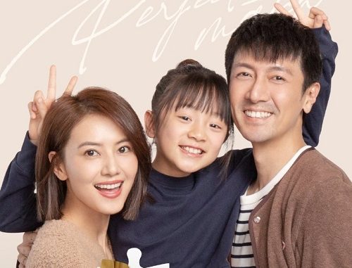 Download Drama China Perfect Couple Subtitle Indonesia